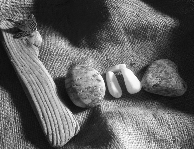 Treasures of the Island 